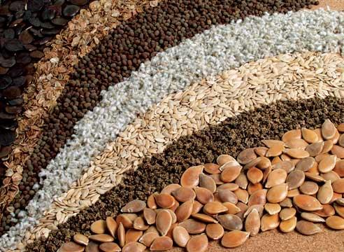 Eginshilerge eginjaıǵa arnalǵan dánderdiń derekter bazasy qoljetimdi boldy