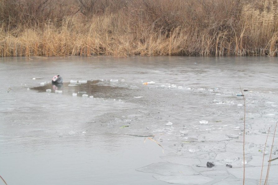 Kóktemgi muzǵa shyqpańyzdar!