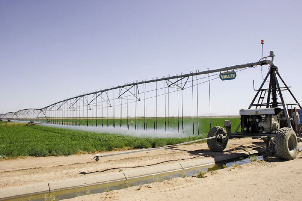 Ańqasy da, qańqasy da keppeıdi