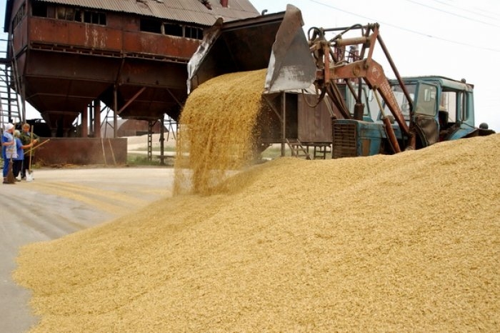 Birikpeı is bitpeıdi