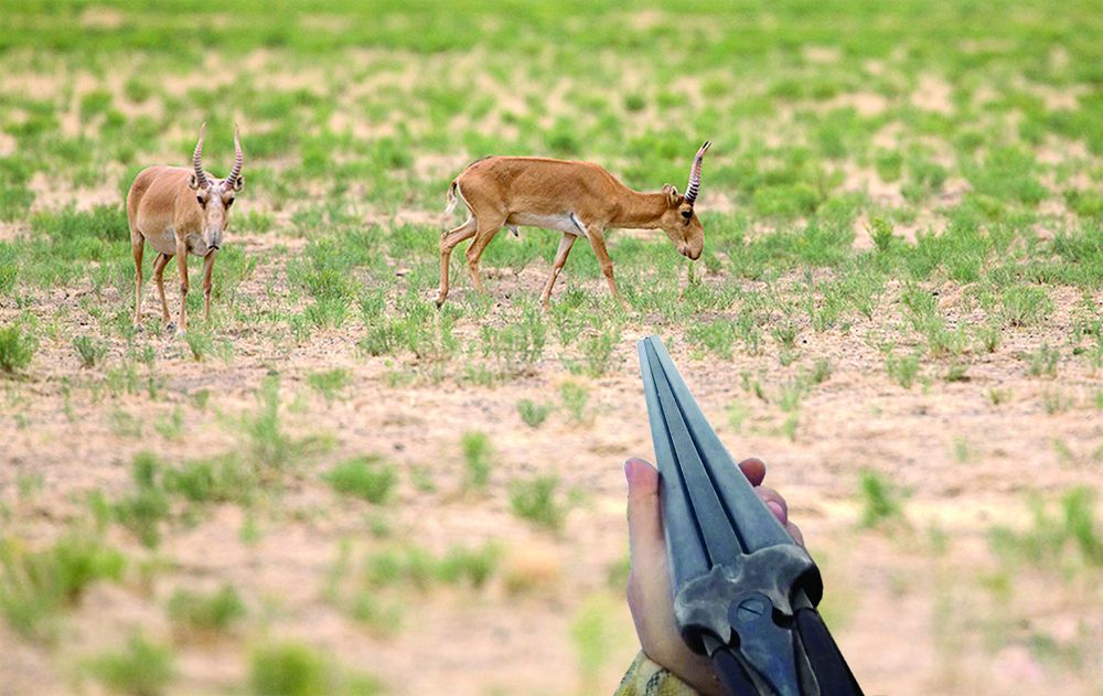 Brakonerdiń bári  Batys Qazaqstanda júrgendeı...