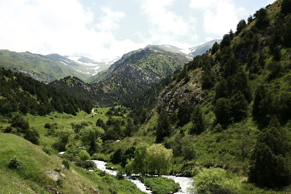 Týrızm Ońtústikke tý tigedi