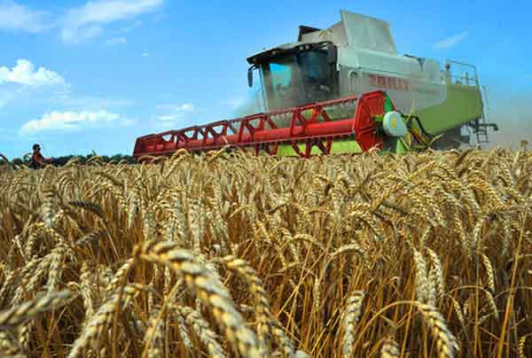 Eýrazııanyń "astyq sebetine" aınala alamyz ba?