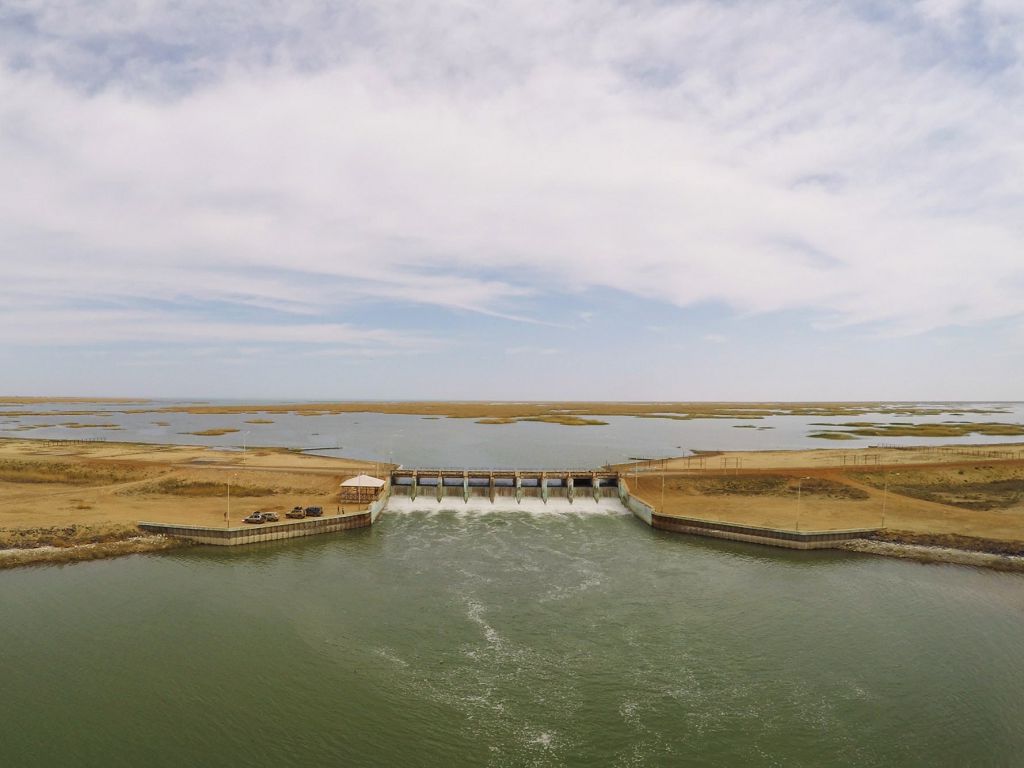 Tirshiliktiń tumasy