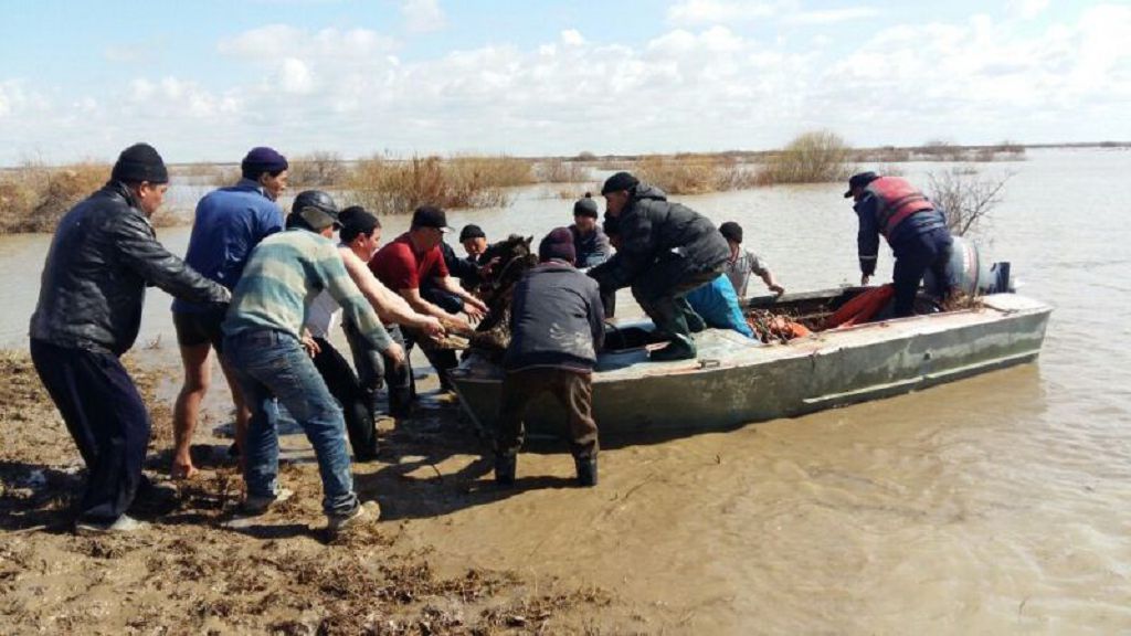 Bir kúnde 23 adam qutqaryldy