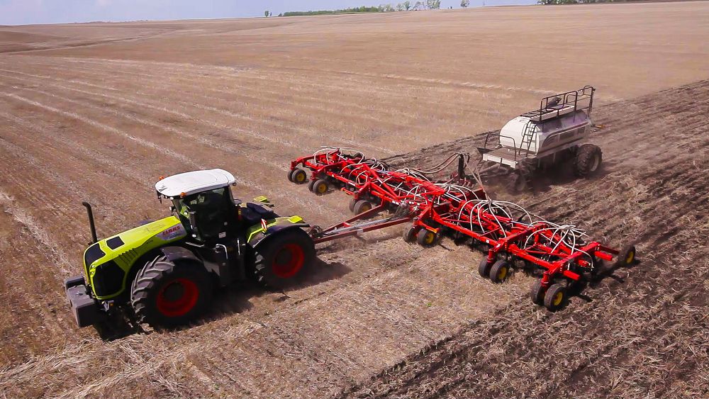 Serpin tanytatyn sát