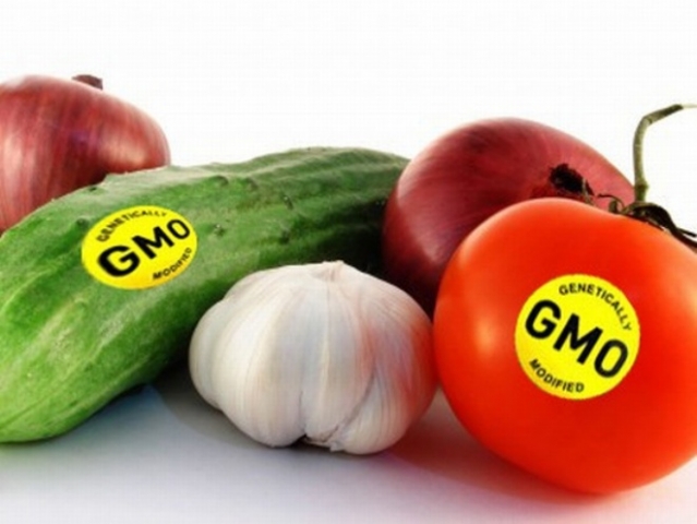 Gmo qospasy bar ónimder shektelýi tıis