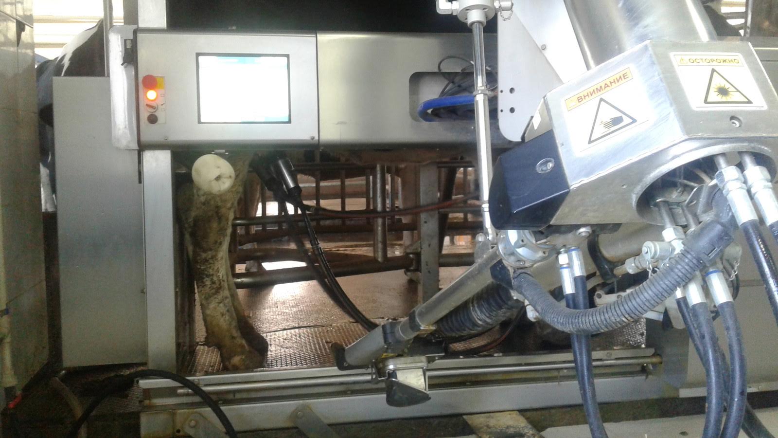 OQO-da robottar sıyr saýady