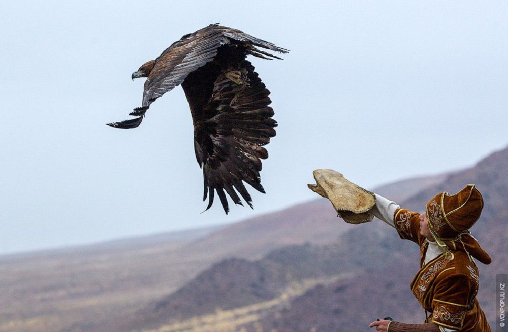 Ańshylyq týrızm – tabys kózi