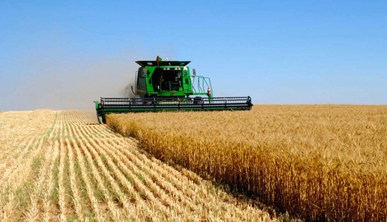 Kooperatıv qurýǵa kimder quqyly?