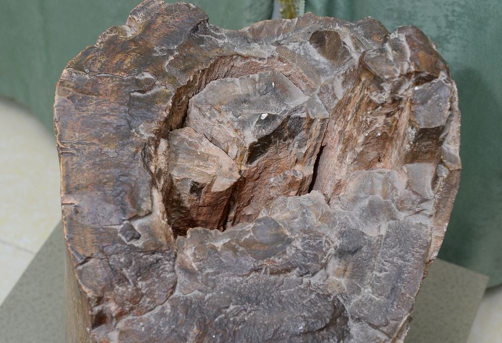 Tasqa aınalǵan aǵash