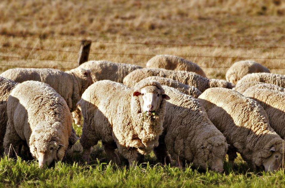 Barymyzdy qashan uqsatamyz?