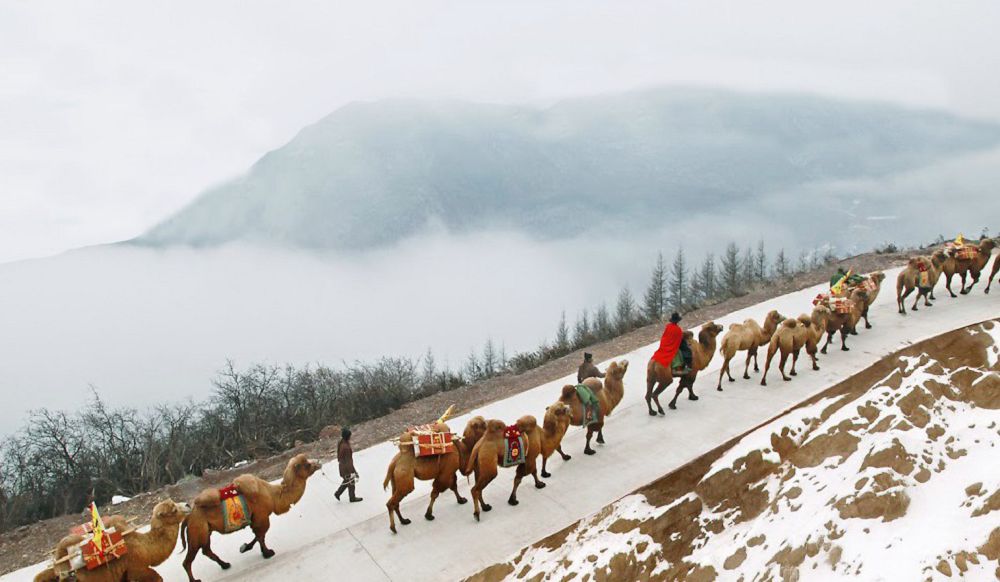 Uly Jibek jolyn kórem deseńiz