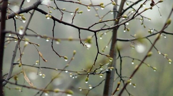 Búgin elimizdiń basym bóliginde jaýyn jaýady
