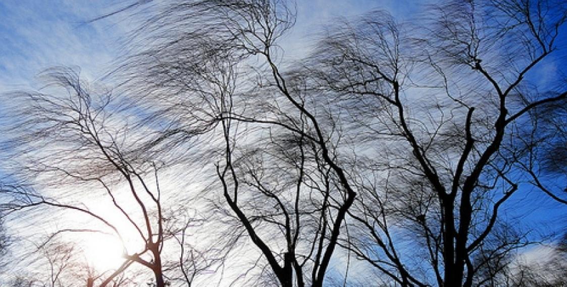 Búgin Qazaqstannyń basym bóliginde jel kúsheıedi