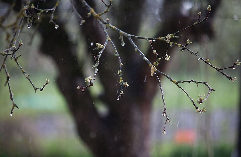 Qazaqstannyń keı óńirlerinde jańbyr jaýady