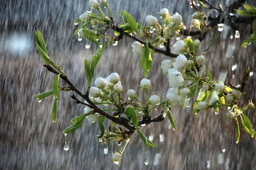 21-24 sáýir kúnderi elimizdiń basym bóliginde kóp mólsherde jaýyn jaýady