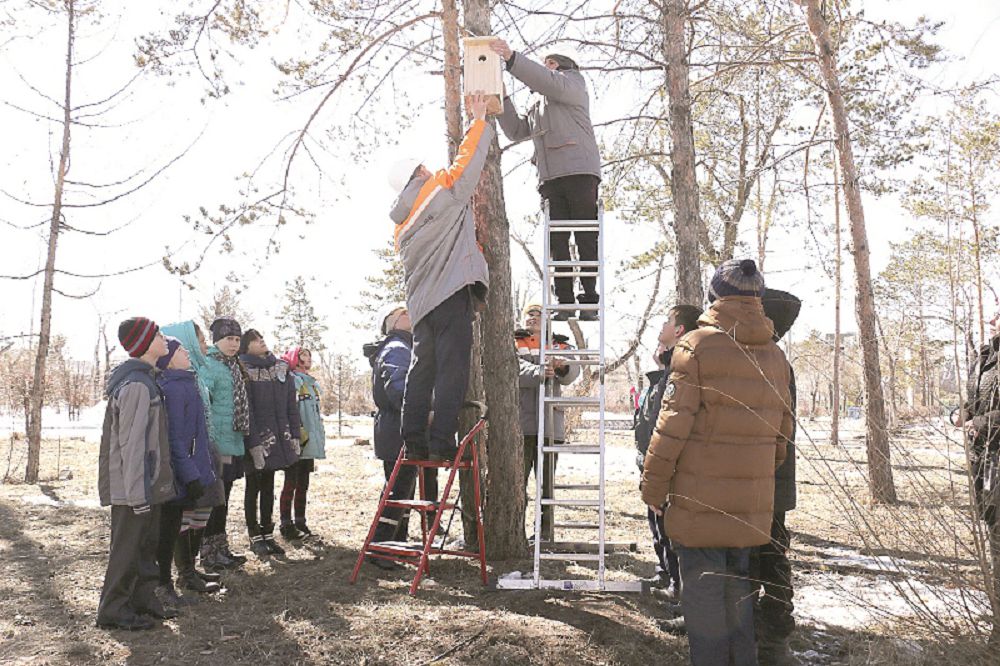 Qustarǵa arnalǵan uıa