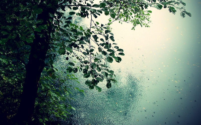 Qazaqstannyń basym bóliginde jańbyr jaýady