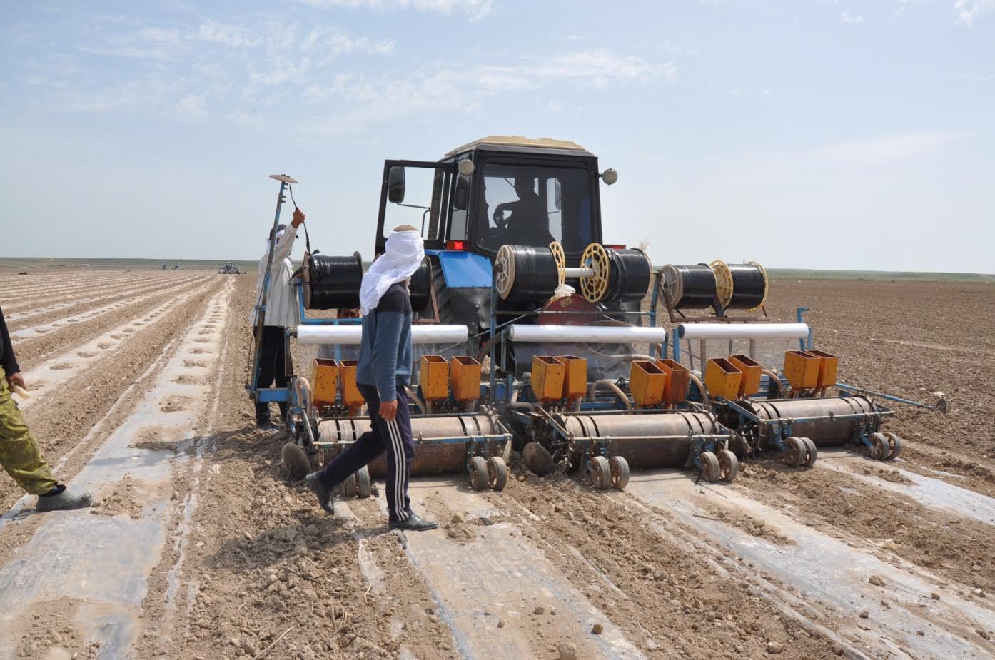 Shıtti maqtadan tabys mol