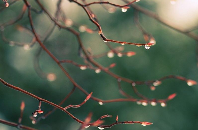 Elimizdiń keı jerlerinde jańbyr jaýady