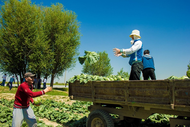 Maqtaaraldyq qyryqqabattyń alǵashqy legi Reseıge jóneltildi