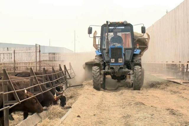 Agrosektor: Toqsan qorytyndysy ne deıdi?