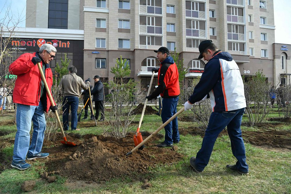 Senatorlar senbilikke qatysty