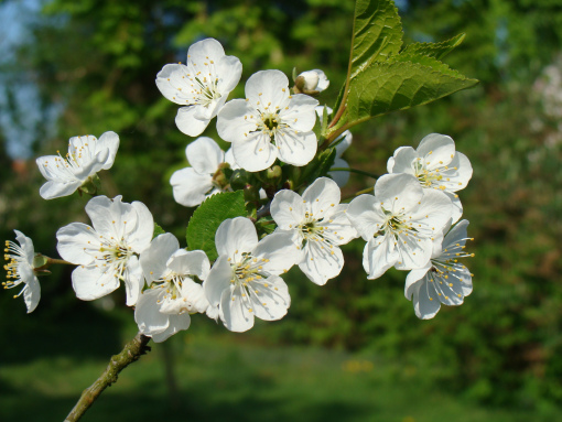 Búgin elimizdiń aımaqtarynda jaýyn-shashyn bolmaıdy