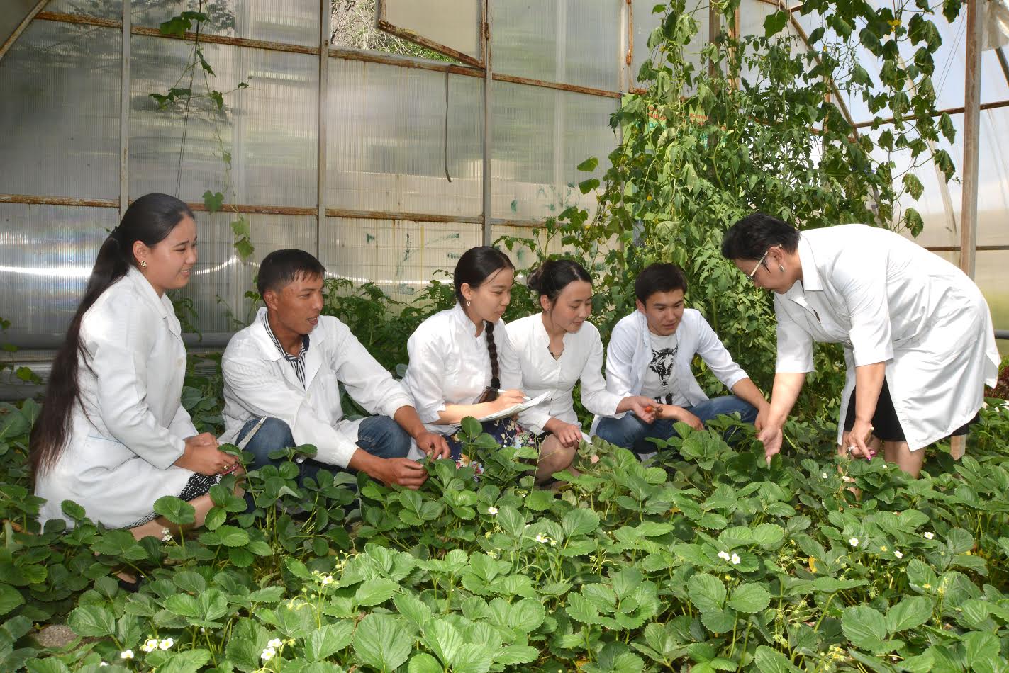 Tarazdyq stýdentter tabıǵı qýat kózderin jylyjaı ónerkásibinde  qoldanbaq