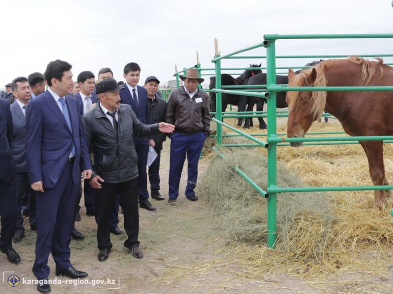 Aýyl sharýashylyǵy – memlekettiń draıveri