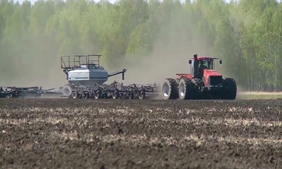 Ońtústikte egis naýqany aıaqtalyp qaldy