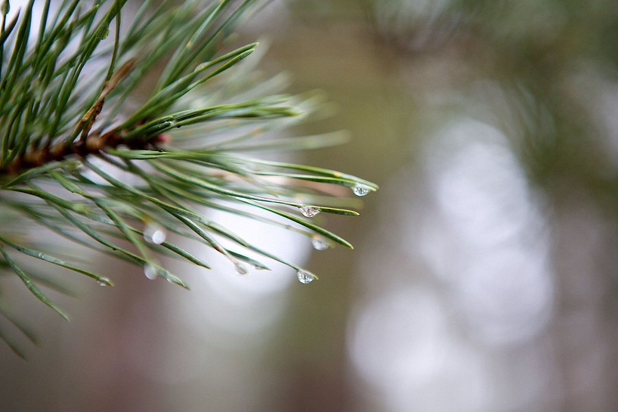 Qazaqstannyń basym bóliginde aýa raıy qubylmaly bolady