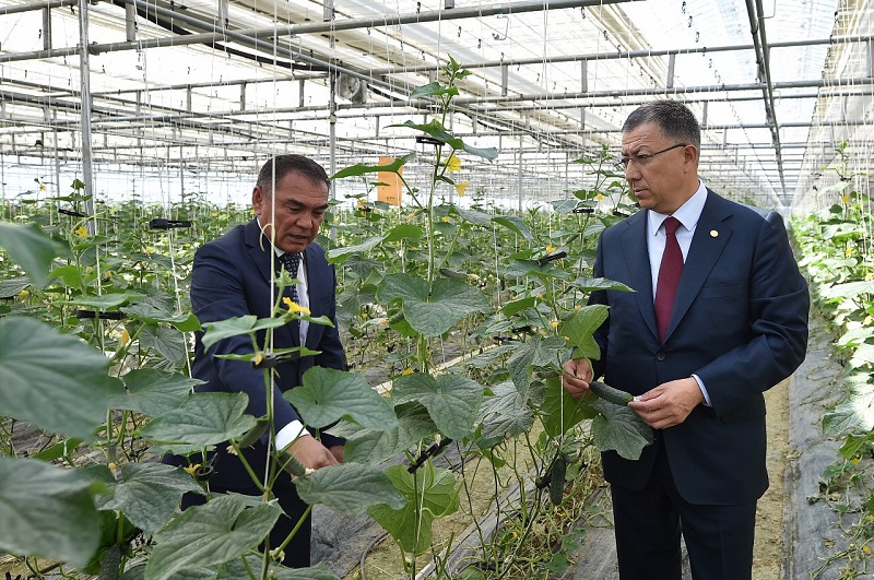 Ońtústikte jylyjaılar kólemi kóbeıip keledi