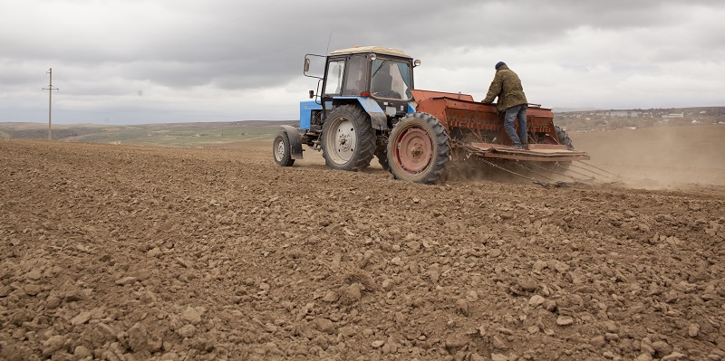 Soltústik Qazaqstan dıqandary kóktemgi egis naýqanyna jappaı kiristi