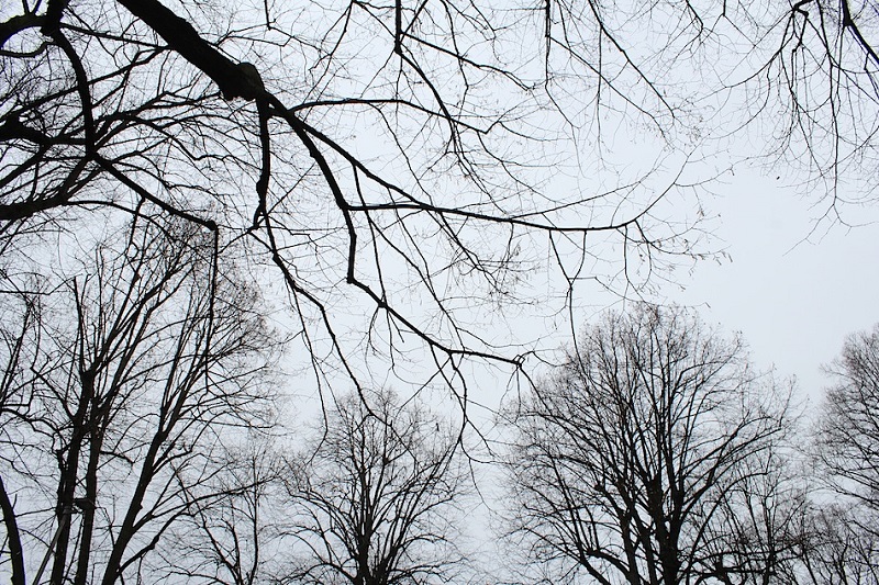 Qaraǵandyda aýa raıy kúrt sýytady