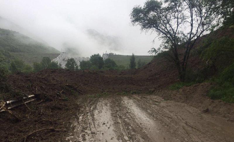 Almaty oblysynda laı kóshkini júrdi