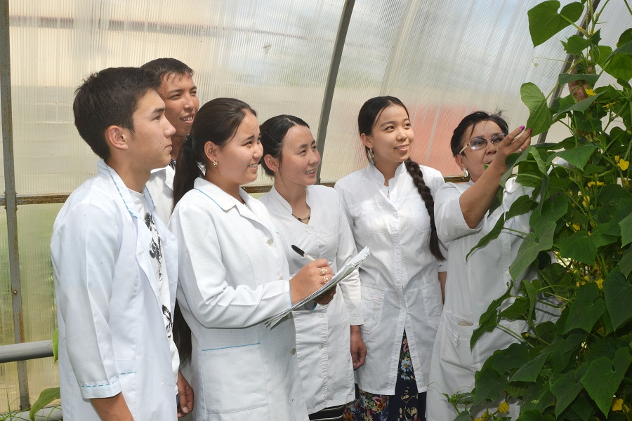 Tarazdyq stýdentter jylyjaıda dárilik ósimdikter ósirýde