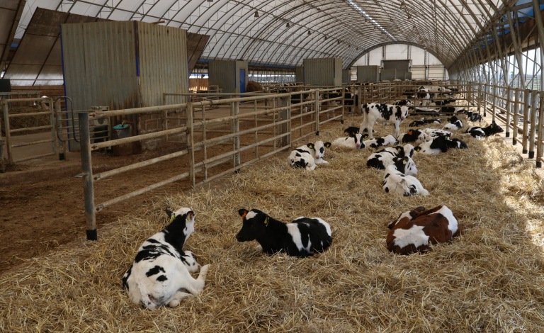 Soltústikte Ortalyq Azııadaǵy eń iri et kombınaty salynady