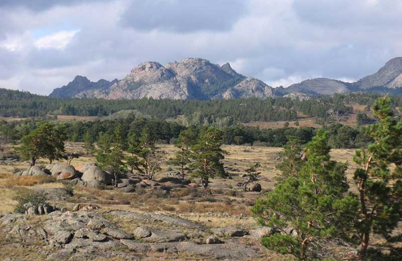 Ábikenniń «Qońyry»