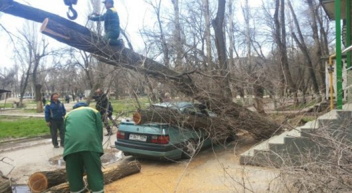 Saǵyntaev Tarazda daýyldan qaza bolǵandardyń otbasyna kómektesýdi tapsyrdy