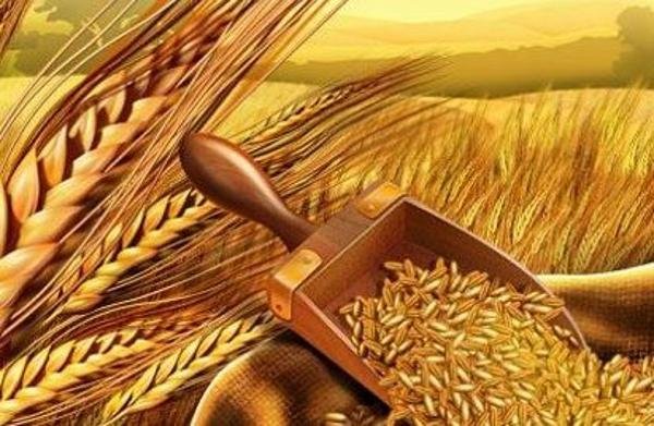 2017 jyly tuqym sharýashylyǵyn sýbsıdııalaýǵa 7,7 mlrd teńge bólingen