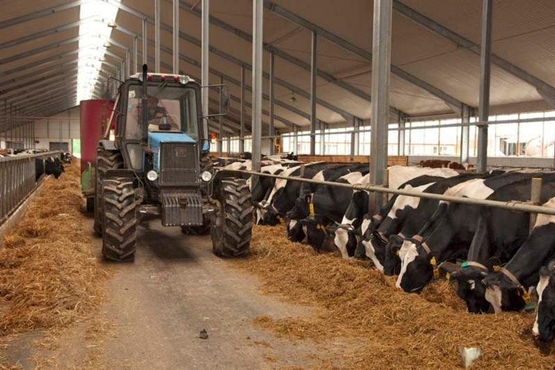 Kooperatıvterdi qoldaýǵa 52 mlrd teńge bólindi