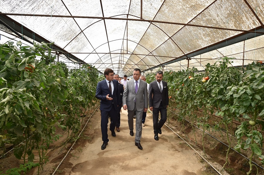 Arysta jylyjaı kólemi ulǵaıtylmaq