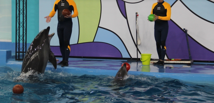 Astanada Ortalyq Azııadaǵy eń úlken teńiz janýarlarynyń saıabaǵy ashyldy