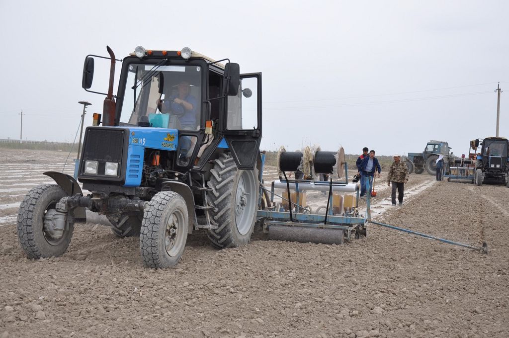 Jańa tehnologııa jemisin jegizýde