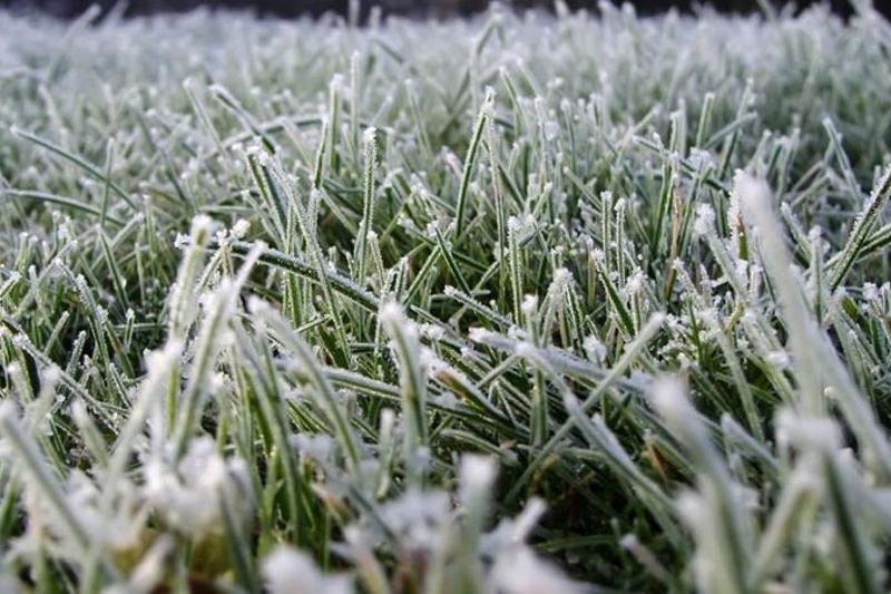 Aqmola oblysynda úsik júredi