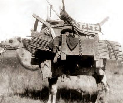 Sóz tapqanǵa qolqanyń qandaı qatysy bar?