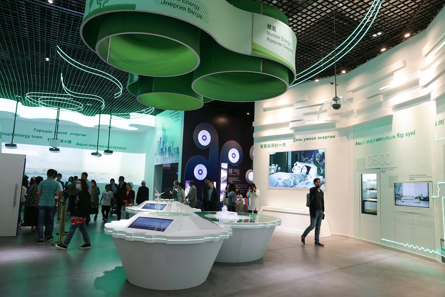 Qyzyqty sharalardyń kórigi qyzdy