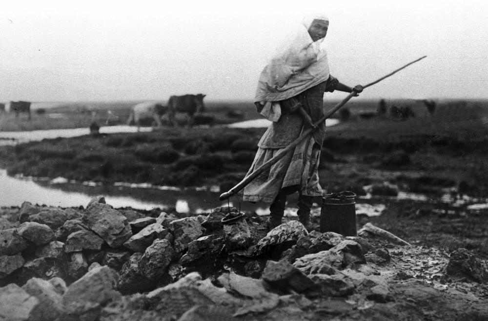 Adamzat tarıhyndaǵy aıanyshty epızod